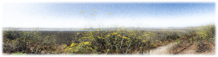 A waterfall in a rocky area